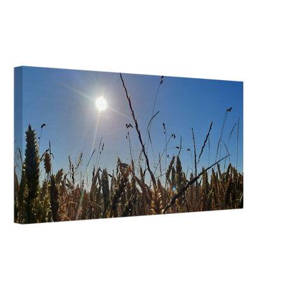 Stimmungsvolle Wandkunst für stilvolle Räume. Kunstdruck auf Leinwand - Kornfeld im Westerwald Landschaftsbild für Ihr Zuhause: zeitlos und harmonisch. Eine besondere Bereicherung für jeden Raum.