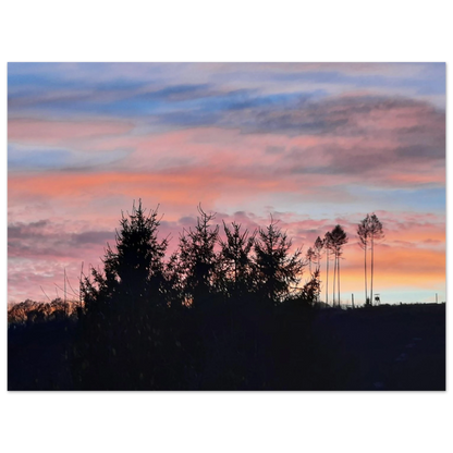 a7af6836-ea6a-4695-89b5-2190df2d6ac7