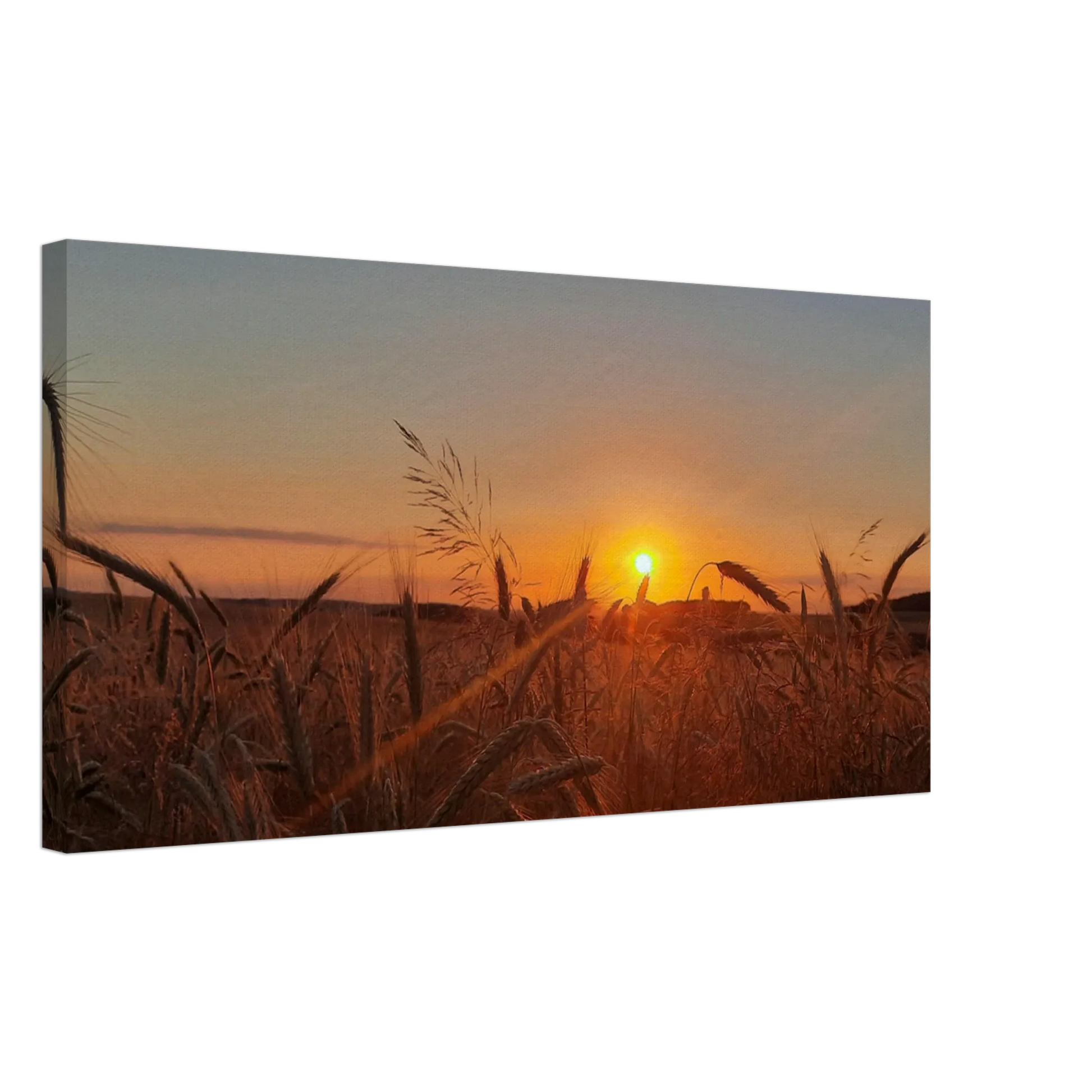 Dekoration mit Charakter. Landschaftsbild Kunstdruck auf Leinwand – Abendsonne Westerwald: zeitlos und harmonisch. Eine besondere Bereicherung für jeden Raum.