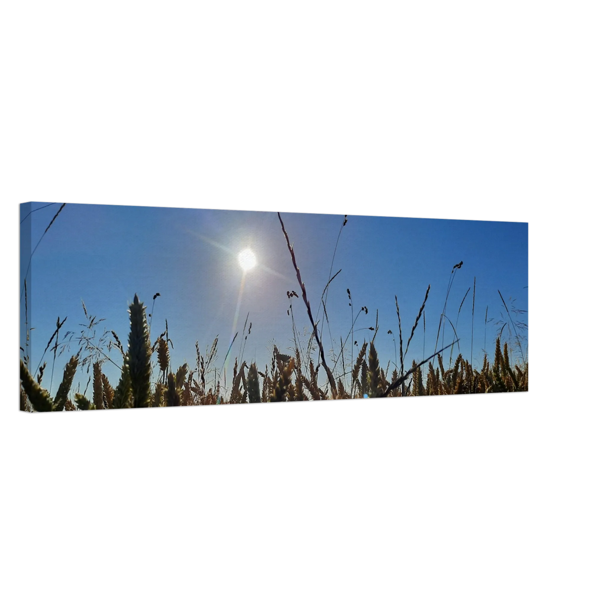 Stimmungsvolle Wandkunst für stilvolle Räume. Kunstdruck auf Leinwand - Kornfeld im Westerwald Landschaftsbild für Ihr Zuhause: zeitlos und harmonisch. Schlicht, elegant und wirkungsvoll.