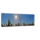 Stimmungsvolle Wandkunst für stilvolle Räume. Kunstdruck auf Leinwand - Kornfeld im Westerwald Landschaftsbild für Ihr Zuhause: zeitlos und harmonisch. Schlicht, elegant und wirkungsvoll.