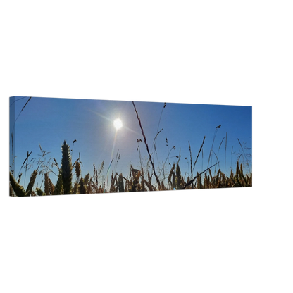 Dekoration mit Charakter. Kunstdruck auf Leinwand - Kornfeld im Westerwald Landschaftsbild für Ihr Zuhause: zeitlos und harmonisch. Eine besondere Bereicherung für jeden Raum.
