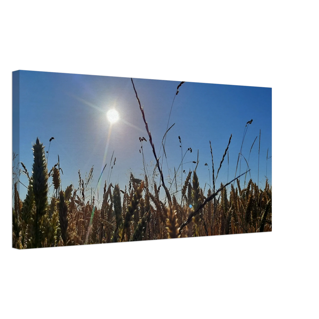 Stimmungsvolle Wandkunst für stilvolle Räume. Kunstdruck auf Leinwand - Kornfeld im Westerwald Landschaftsbild für Ihr Zuhause: für stilvolle Raumgestaltung. Eine besondere Bereicherung für jeden Raum.