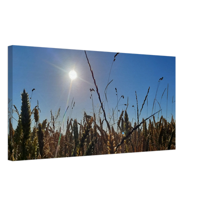 Ein Ausdruck moderner Ästhetik. Kunstdruck auf Leinwand - Kornfeld im Westerwald Landschaftsbild für Ihr Zuhause: für stilvolle Raumgestaltung. Eine besondere Bereicherung für jeden Raum.