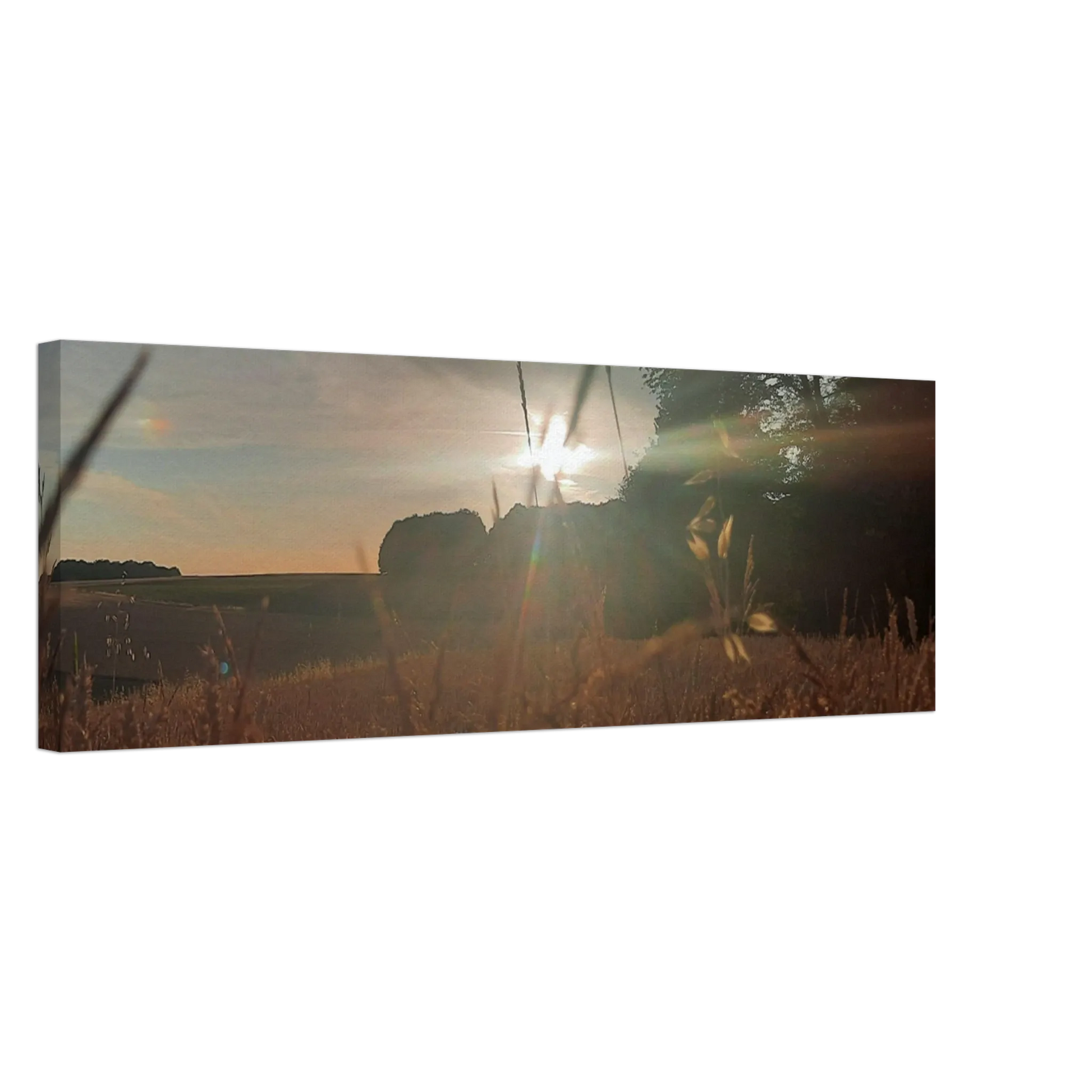 Für wohnzimmer, büro oder flur, mit sorgfalt gefertigt und gestaltet, emotionale erinnerungen festgehalten, westerwald landschaftsbild leinwand: kunstdruck die andere perspektive, besonders langlebig, für besondere Anlässe, für Wohnzimmer und Büro.