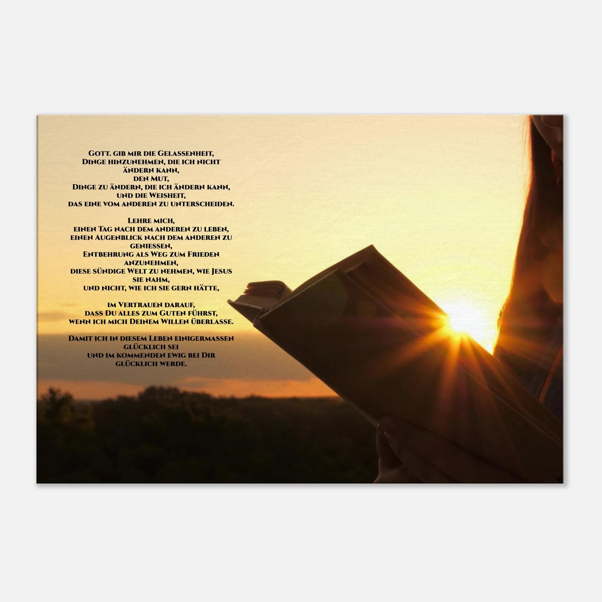 dc97edc9-1f9f-4964-82cd-252cb9771acc