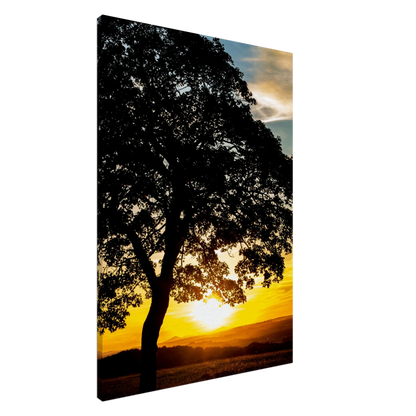 Stimmungsvolle Wandkunst für stilvolle Räume. Landschaftsfoto auf Leinwand - Kunstdruck Sonnenuntergang 70x100 cm / 28x40″: zeitlos und harmonisch. Eine besondere Bereicherung für jeden Raum.