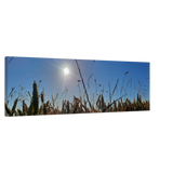 Dekoration mit Charakter. Kunstdruck auf Leinwand - Kornfeld im Westerwald Landschaftsbild für Ihr Zuhause: für stilvolle Raumgestaltung. Schlicht, elegant und wirkungsvoll.