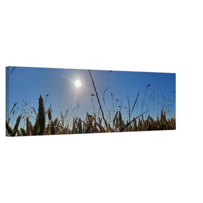 Ein Ausdruck moderner Ästhetik. Kunstdruck auf Leinwand - Kornfeld im Westerwald Landschaftsbild für Ihr Zuhause: passt in jedes Ambiente. Schlicht, elegant und wirkungsvoll.