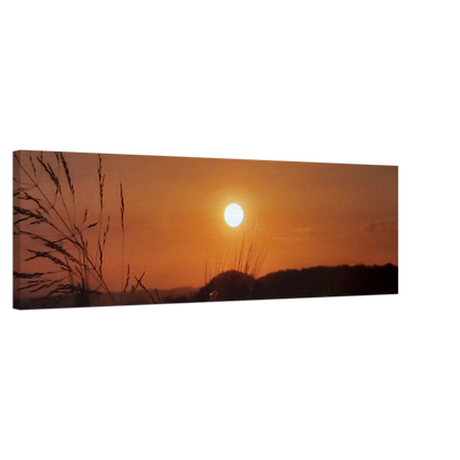 f72a3965-5973-4439-ada9-ab3e06e2b92d