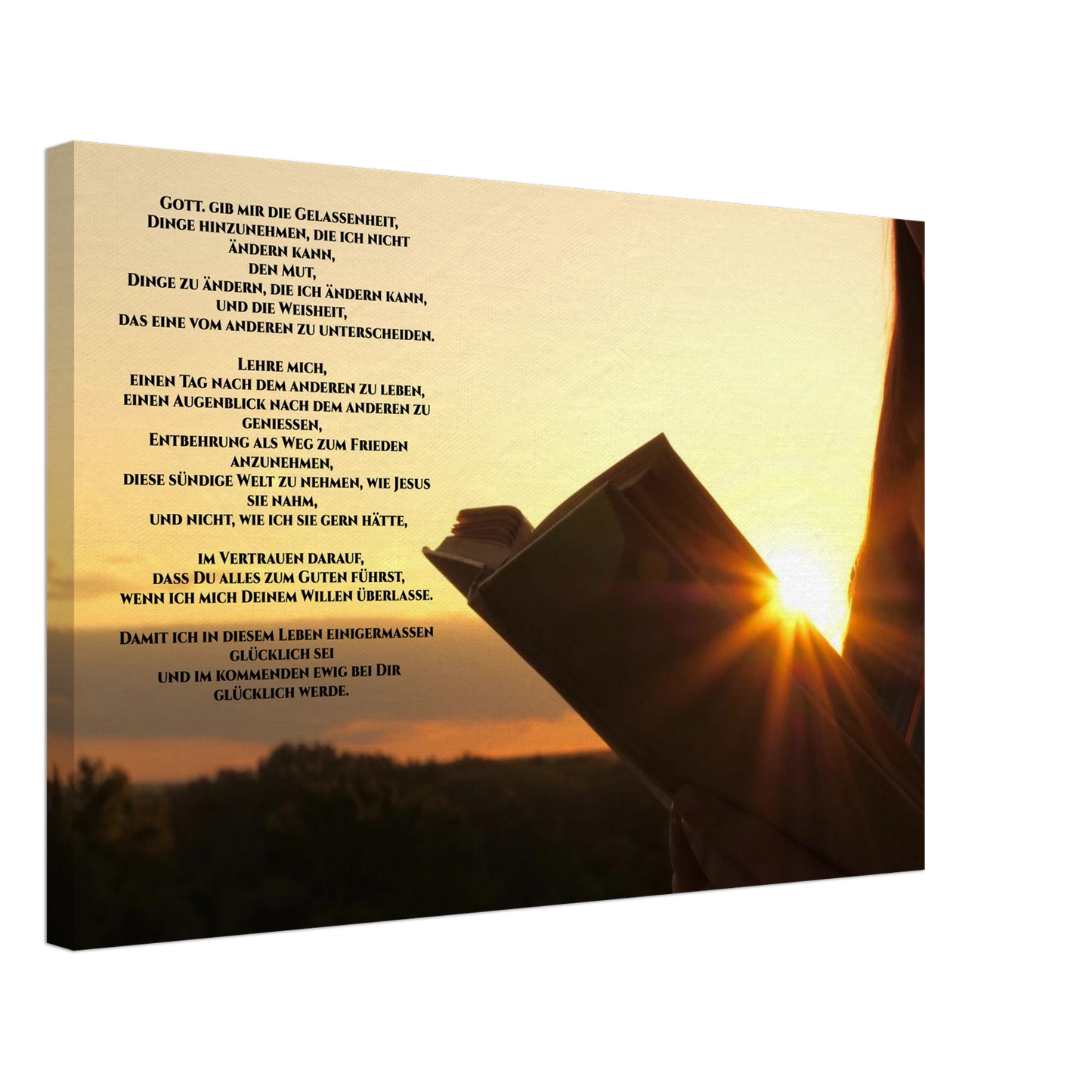 fca82989-5853-4291-9b5e-c98d795f9922