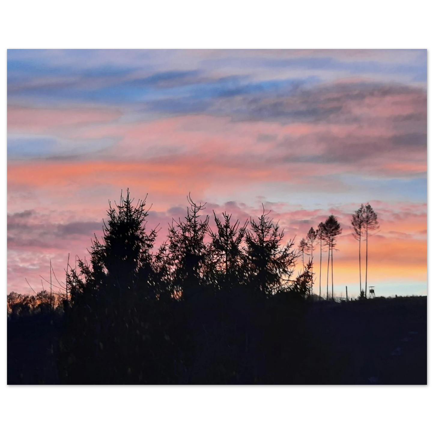 fd74b42b-1915-43f2-a6c0-814df9c24129