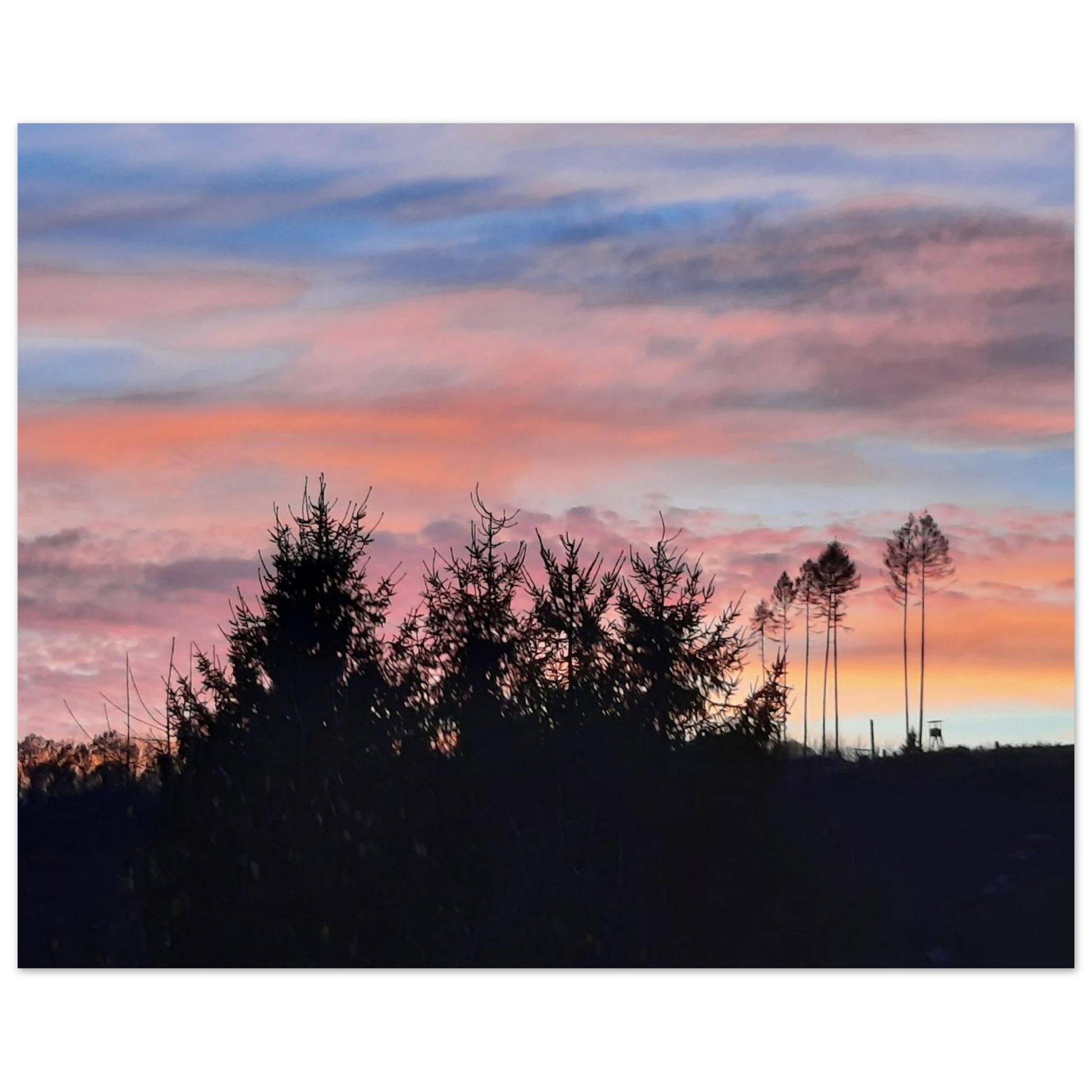 fd74b42b-1915-43f2-a6c0-814df9c24129