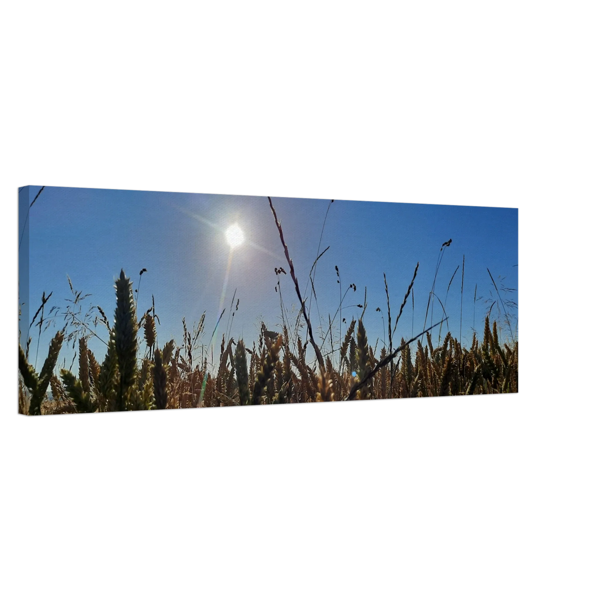 Kunstdruck auf Leinwand - Kornfeld im Westerwald Landschaftsbild für Ihr Zuhause – bedruckte Leinwand auf stabilem Keilrahmen
