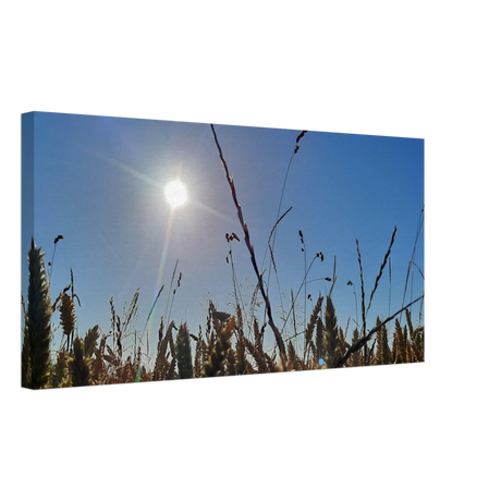 Kunstdruck auf Leinwand - Kornfeld im Westerwald Landschaftsbild für Ihr Zuhause – Leinwand-Kunstdruck als dekorative Wandgestaltung