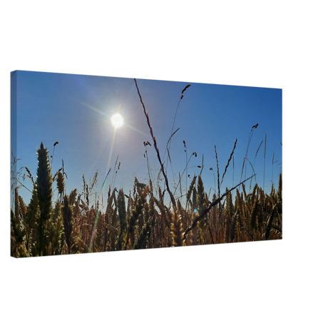 Kunstdruck auf Leinwand - Kornfeld im Westerwald Landschaftsbild für Ihr Zuhause – Leinwandbild mit dekorativer Motivgestaltung