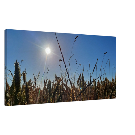 Kunstdruck auf Leinwand - Kornfeld im Westerwald Landschaftsbild für Ihr Zuhause – Wandbild auf Leinwand mit individuell gewähltem Motiv
