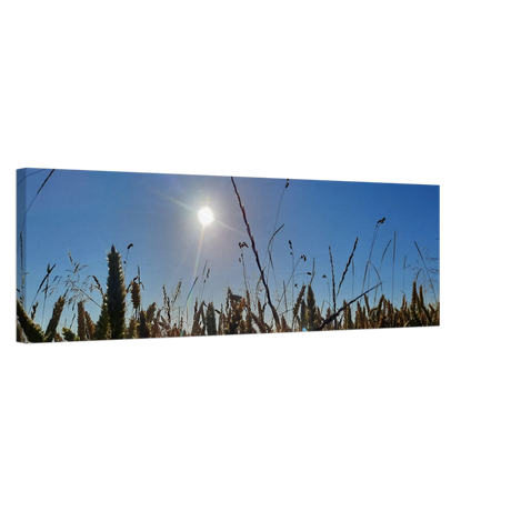 Kunstdruck auf Leinwand - Kornfeld im Westerwald Landschaftsbild für Ihr Zuhause – bedruckte Leinwand mit klassischer Bildwirkung
