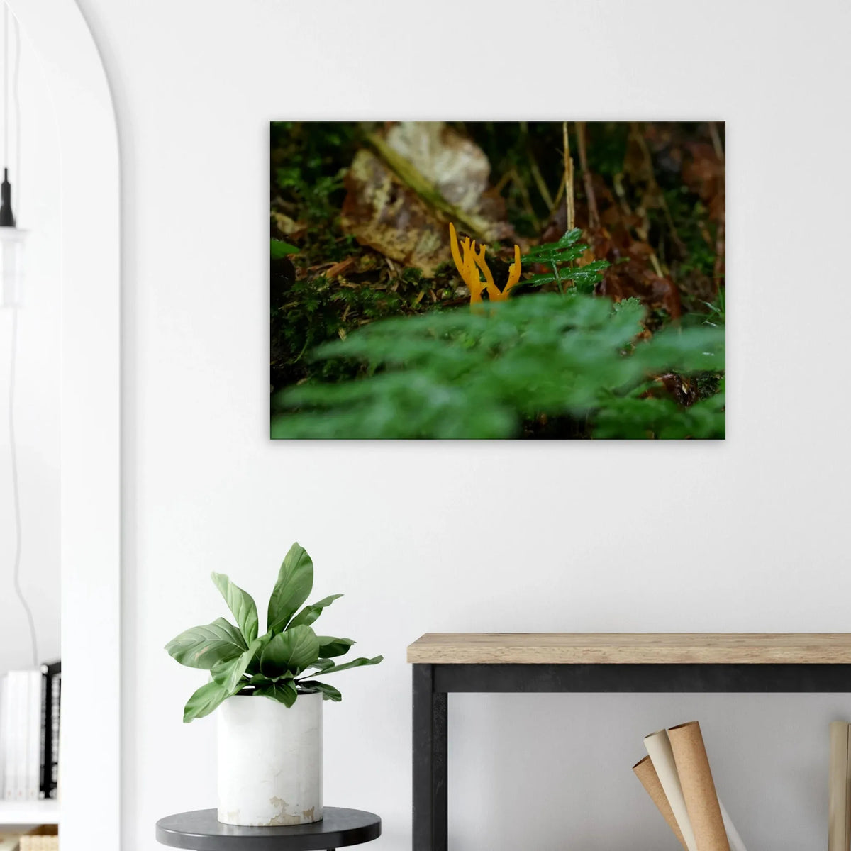 Dekoration mit Charakter. Kunstdruck auf Leinwand – Nahaufnahme einer Waldlandschaft: zeitlos und harmonisch. Eine besondere Bereicherung für jeden Raum.