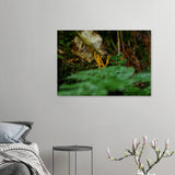 Stimmungsvolle Wandkunst für stilvolle Räume. Kunstdruck auf Leinwand – Nahaufnahme einer Waldlandschaft: zeitlos und harmonisch. Eine besondere Bereicherung für jeden Raum.