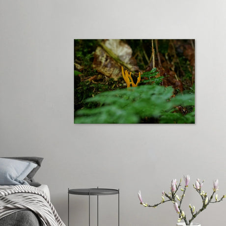 Stimmungsvolle Wandkunst für stilvolle Räume. Kunstdruck auf Leinwand – Nahaufnahme einer Waldlandschaft: zeitlos und harmonisch. Eine besondere Bereicherung für jeden Raum.