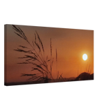 Dekoration mit Charakter. Kunstdruck auf Leinwand – Westerwald in der Abendsonne, Hochwertiger Wandkunstdruck: zeitlos und harmonisch. Eine besondere Bereicherung für jeden Raum.