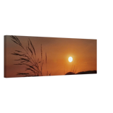 Dekoration mit Charakter. Kunstdruck auf Leinwand – Westerwald in der Abendsonne, Hochwertiger Wandkunstdruck: für stilvolle Raumgestaltung. Schlicht, elegant und wirkungsvoll.