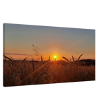Dekoration mit Charakter. Landschaftsbild Kunstdruck auf Leinwand – Abendsonne Westerwald: für stilvolle Raumgestaltung. Schlicht, elegant und wirkungsvoll.