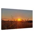 Landschaftsbild Kunstdruck auf Leinwand – Abendsonne Westerwald – Wandbild auf Leinwand für Wohn- und Arbeitsräume