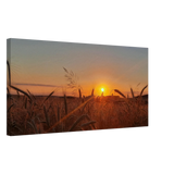 Landschaftsbild Kunstdruck auf Leinwand – Abendsonne Westerwald – bedruckte Leinwand auf stabilem Keilrahmen