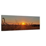 Stimmungsvolle Wandkunst für stilvolle Räume. Landschaftsbild Kunstdruck auf Leinwand – Abendsonne Westerwald: zeitlos und harmonisch. Eine besondere Bereicherung für jeden Raum.