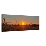 Dekoration mit Charakter. Landschaftsbild Kunstdruck auf Leinwand – Abendsonne Westerwald: für stilvolle Raumgestaltung. Schlicht, elegant und wirkungsvoll.