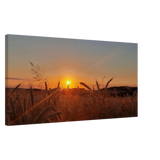 Dekoration mit Charakter. Landschaftsbild Kunstdruck auf Leinwand – Abendsonne Westerwald: für stilvolle Raumgestaltung. Eine besondere Bereicherung für jeden Raum.