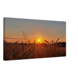 Landschaftsbild Kunstdruck auf Leinwand – Abendsonne Westerwald – Wandbild auf Leinwand mit individuell gewähltem Motiv