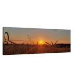 Landschaftsbild Kunstdruck auf Leinwand – Abendsonne Westerwald – Leinwand-Kunstdruck für dekorative Raumgestaltung