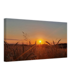 Dekoration mit Charakter. Landschaftsbild Kunstdruck auf Leinwand – Abendsonne Westerwald: zeitlos und harmonisch. Eine besondere Bereicherung für jeden Raum.