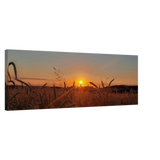 Stimmungsvolle Wandkunst für stilvolle Räume. Landschaftsbild Kunstdruck auf Leinwand – Abendsonne Westerwald: zeitlos und harmonisch. Eine besondere Bereicherung für jeden Raum.