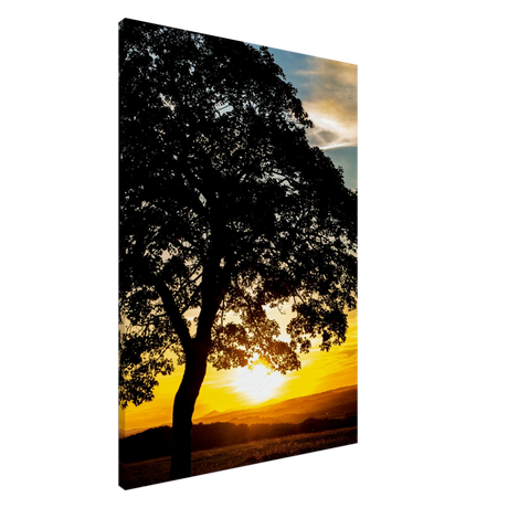 Dekoration mit Charakter. Landschaftsfoto auf Leinwand - Kunstdruck Sonnenuntergang 70x100 cm / 28x40″: zeitlos und harmonisch. Eine besondere Bereicherung für jeden Raum.